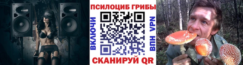 Галлюциногенные грибы GOLDEN TEACHER  блэк спрут вход  Чаплыгин 